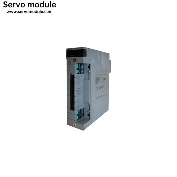 Yokogawa AAM11