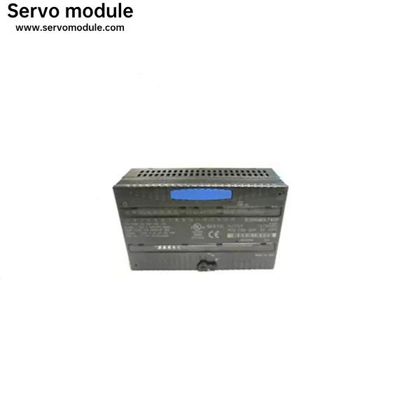 GE Fanuc IC200ALG264E